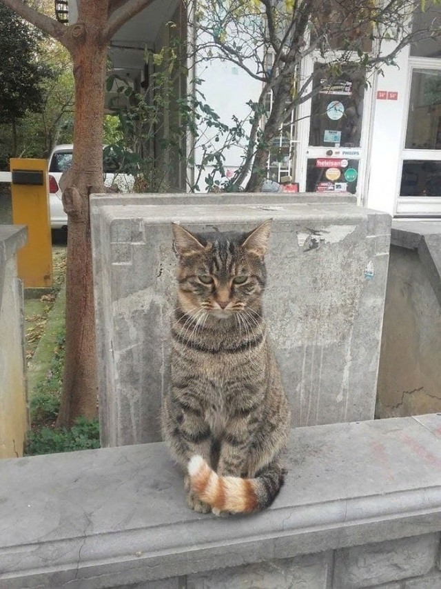 Кубик Рубика