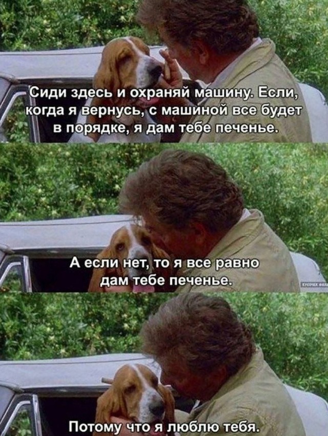 Топ мемов от Медузы к 7-летию