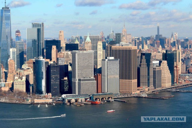 "Где вы берете еду?" Интернет-пользователи на Западе смакуют гигант-человейник в Кудрово