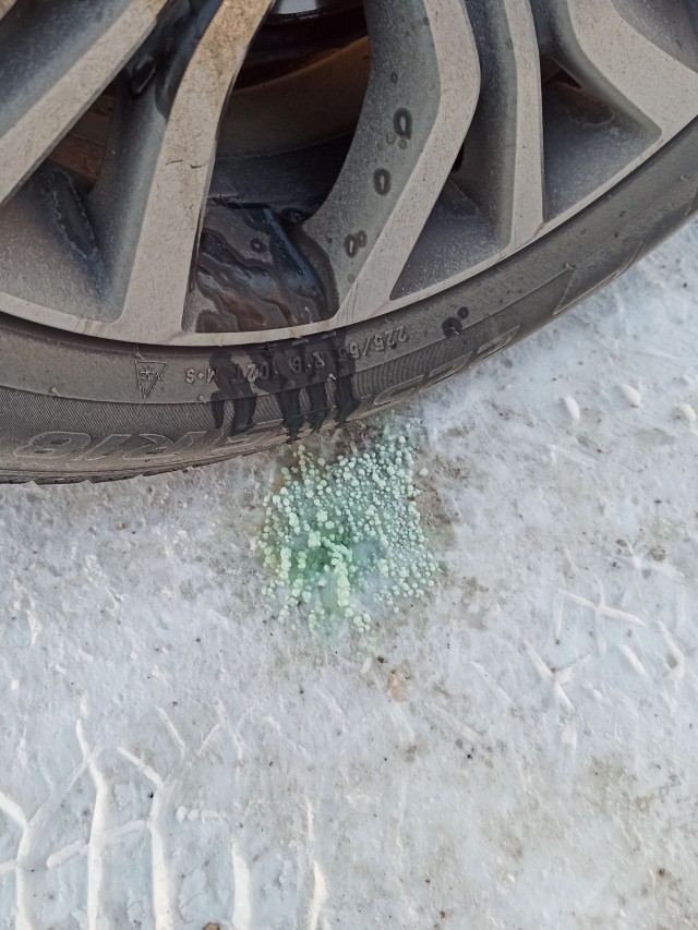 Тем временем в Волгограде