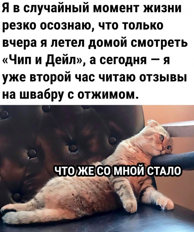 Так себе картинки 15.06.22