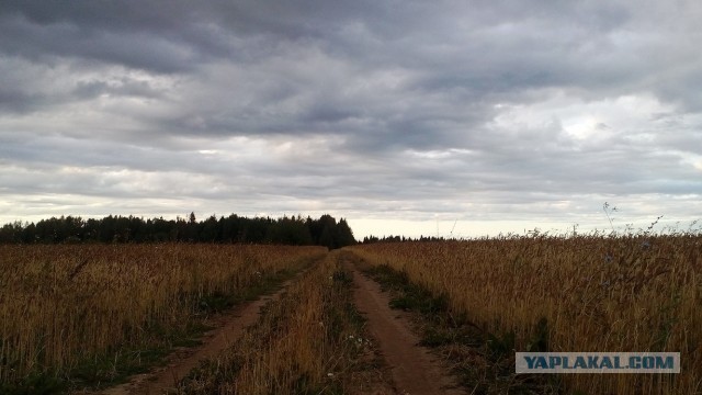 Просто любительские фото
