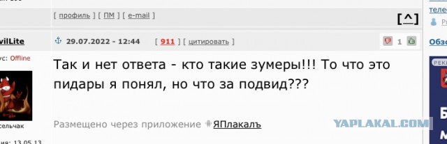 СК возбудил дело из-за осквернения могил подростками в Воронеже