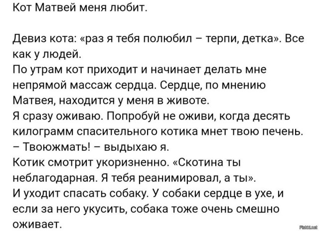 Всего понемногу. От 12.08
