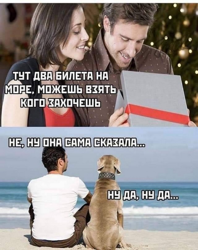 Нуштош 08.08.2024