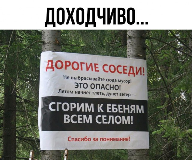 Немного забавных картинок от 22.08.2024