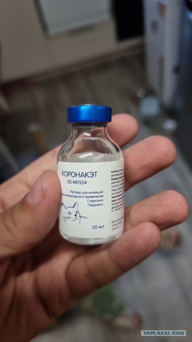 Продам КоронаКэт