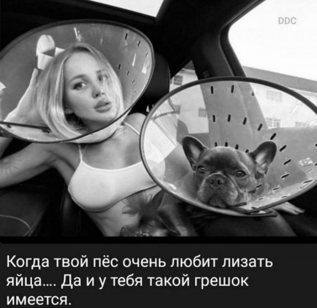 Веселые картинки к маленькой пятнице (25.09)