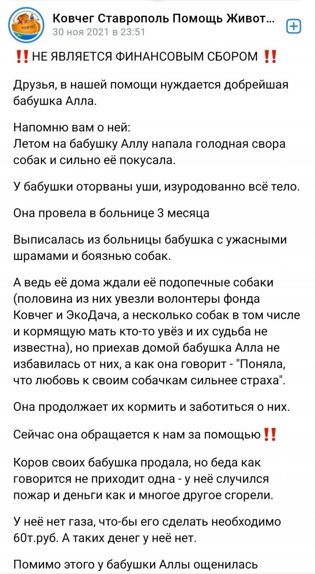 Появилось видео нападения собак на девочку