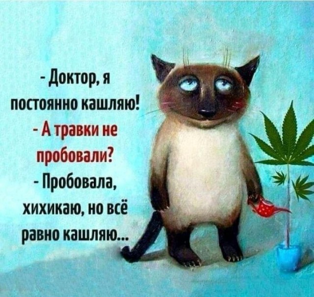 Прикольные и просто красивые картинки
