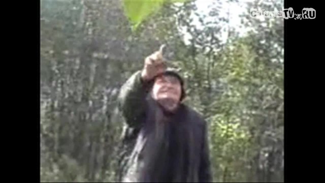 Купил сварочный полуавтомат