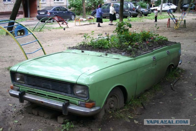 Двор, в котором я живу