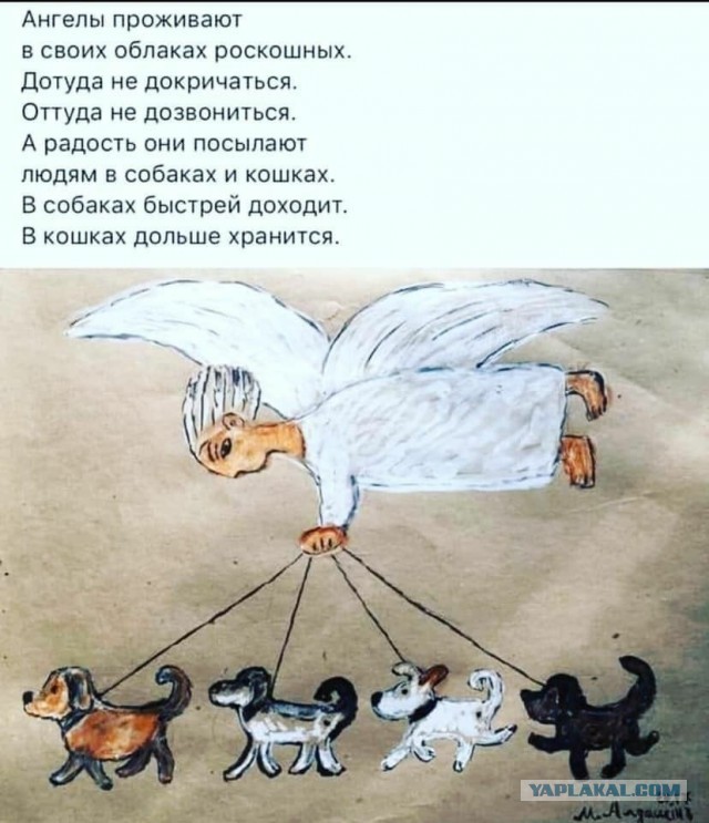 Куча мала 15, последняя