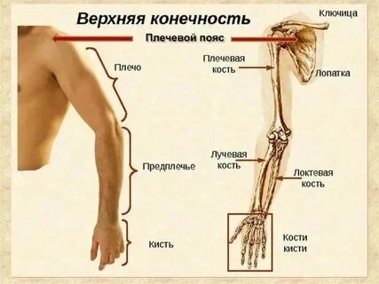 Век живи,век учись