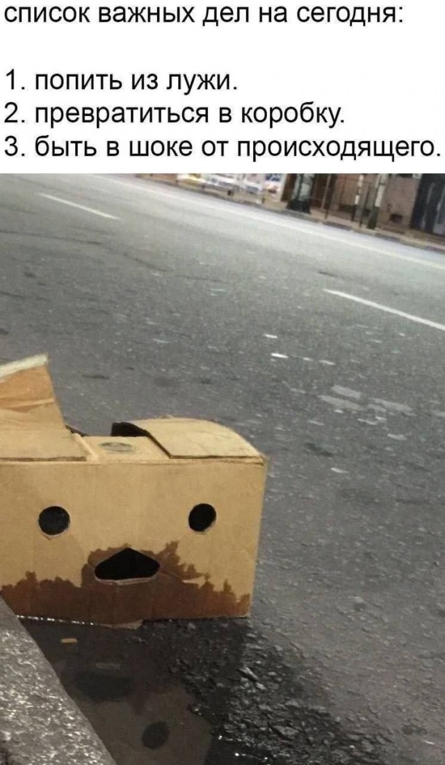 Картиночки, баянчики 24 апреля