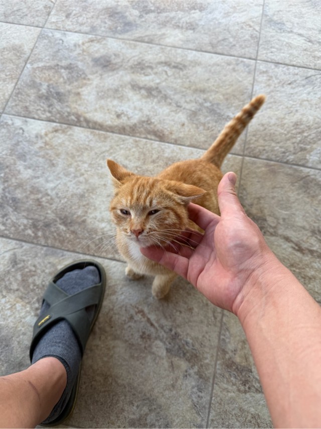 Без паспорта, без имени, погремуха «Ржавый»