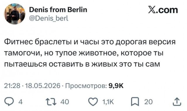 Картинки для деградации 204 (разной степени свежести)