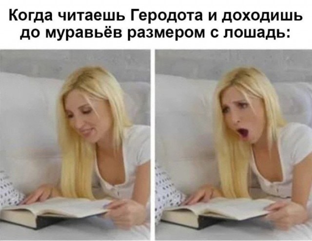 Картинки для деградации 247 (разной степени свежести)