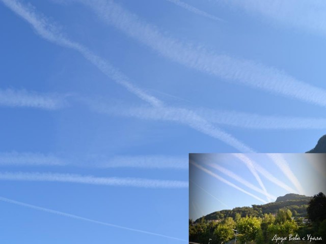 В поисках музея ПрофессораПлейшнера