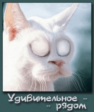 Визуализируем свои ники!