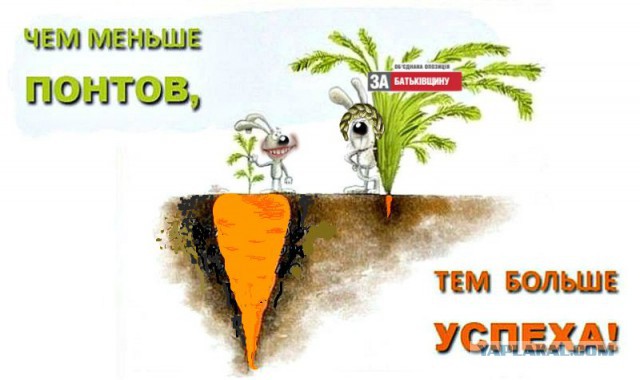Сага о суровом кролике