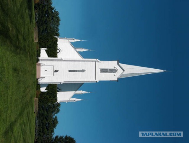 Картинки