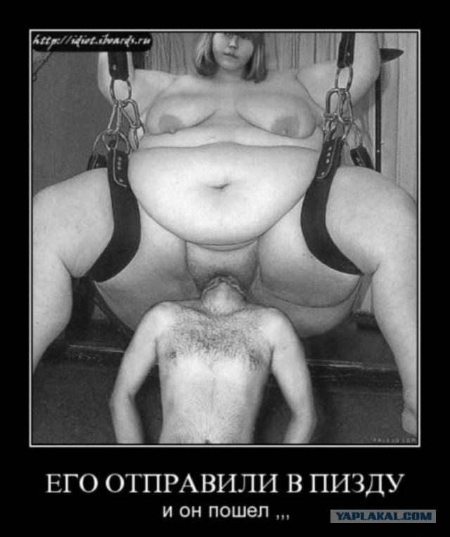 Американский студент застрял...