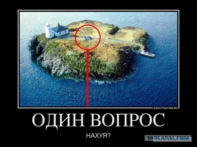 Верх дебилизма!, видео