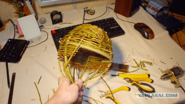 Почему люди не птицы? Отчего люди не летают?