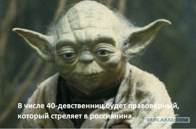 В ДНР уничтожены чеченские террористы