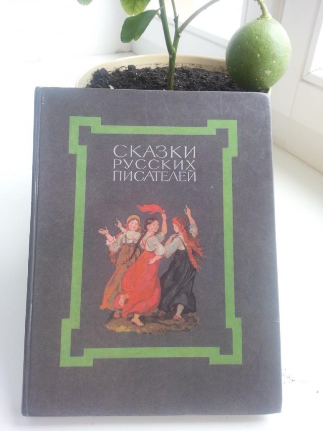 Книги, после которых ваш ребенок полюбит чтение