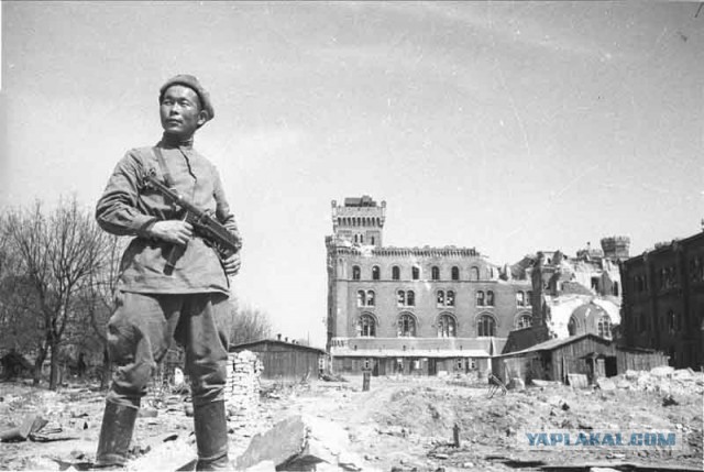 Документальные фото ВОВ 1941-1945