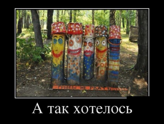 Картинки и демотиваторы