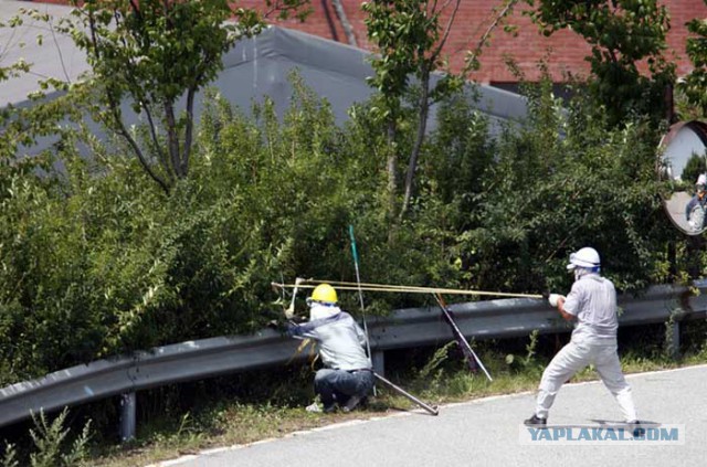 В Госдуме предложили повысить штраф за езду без полиса ОСАГО