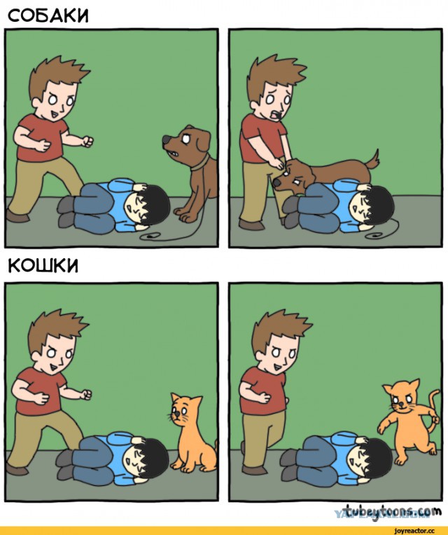 Схлопотали по заслугам