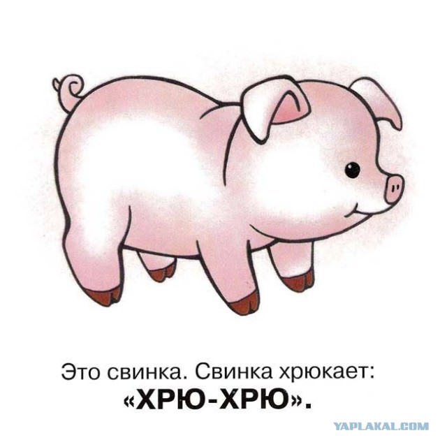 Новый скандал вокруг победы Джамалы: певица нарушила правила "Евровидения", а на Youtube удалили все доказательства