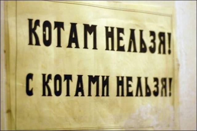 Подборка безудержного веселья