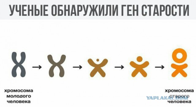 Деграклассники