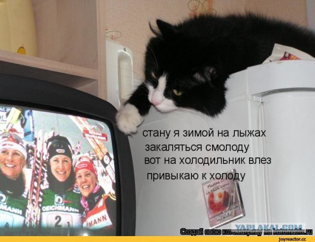 Тяжкая жизнь «среднего класса» в Москве