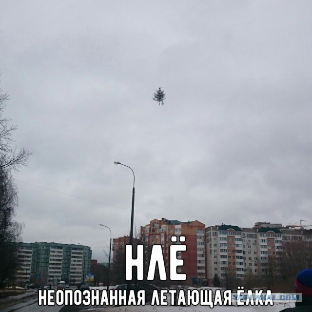 Чёрненькая деградация к выходным. Ура!