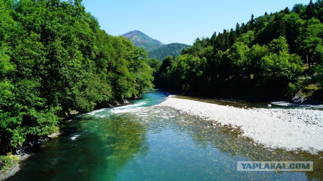 Просто Природа