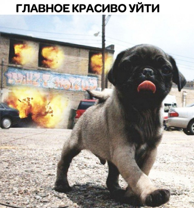 Нестандартный юмор