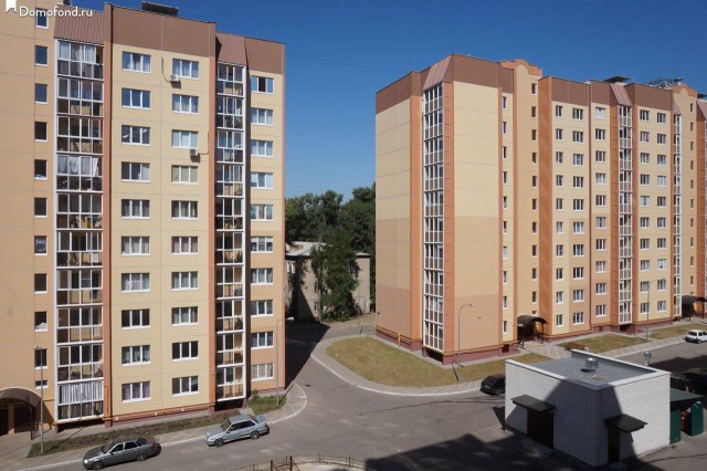 В Воронеже соорудили отдельный вход для кота в многоэтажку