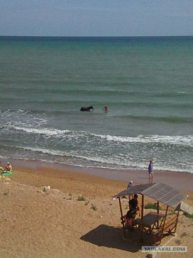 Море Каспийское и море Черное