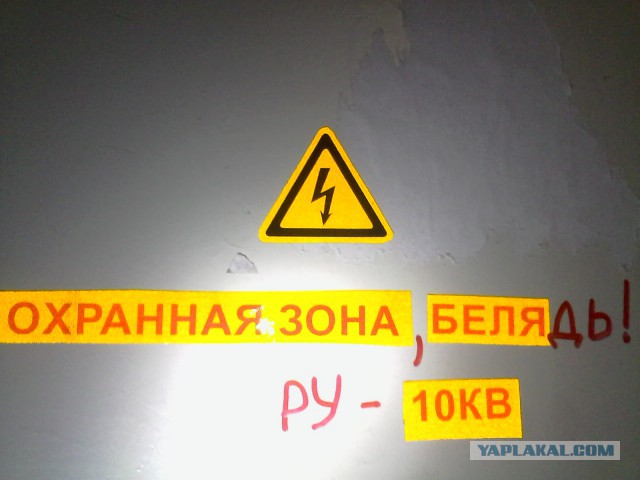 Перлы