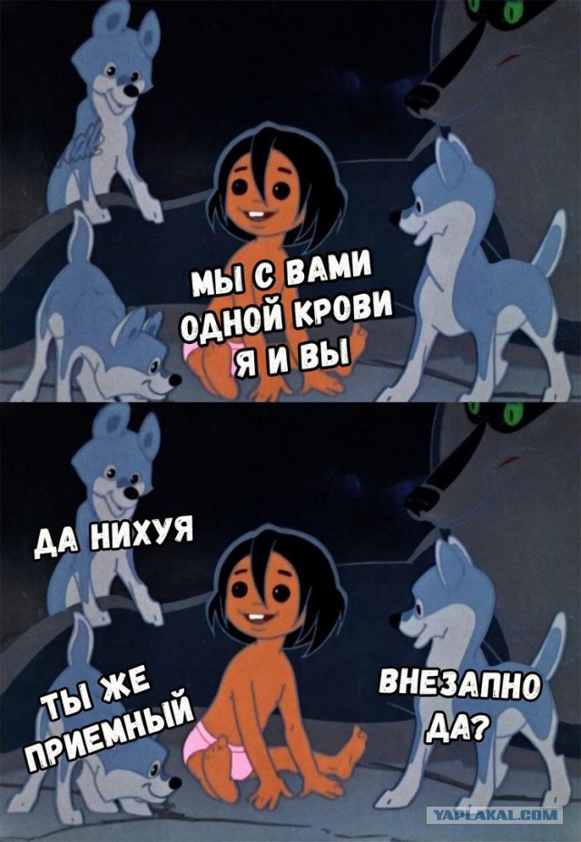 Специфический юмор