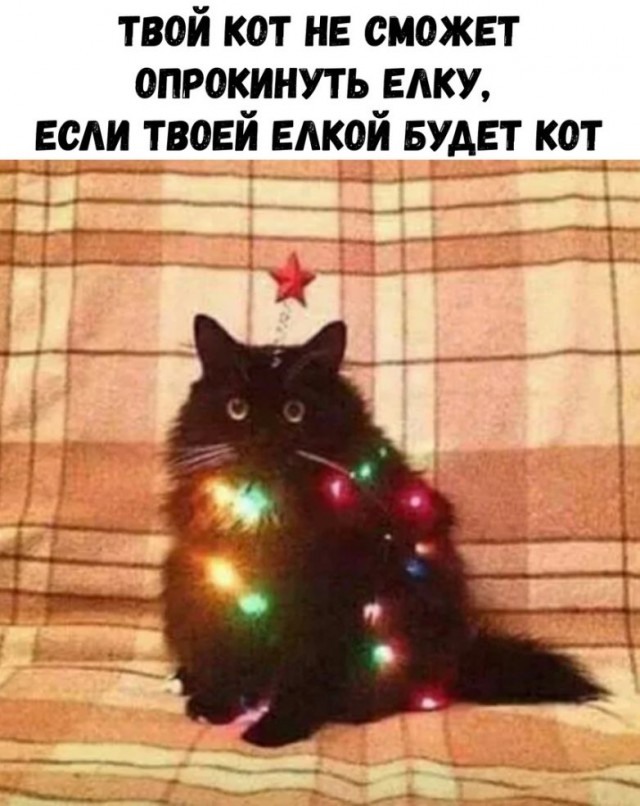 Новогодние приколы 2019