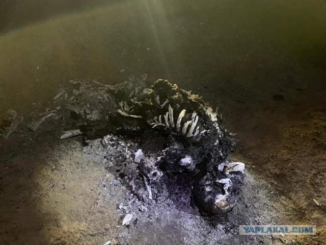 В Мексике больше 20 человек погибло при взрыве на трубопроводе неподалеку от города Тлауэльильпан