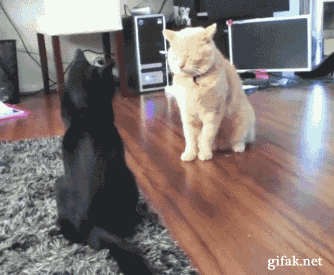 Запоздалая реакция на мощный удар