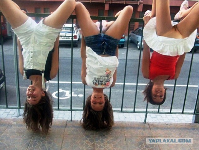 Картинки про то, ну то самое... 4